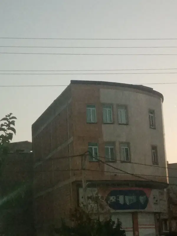 هم خانه اقا