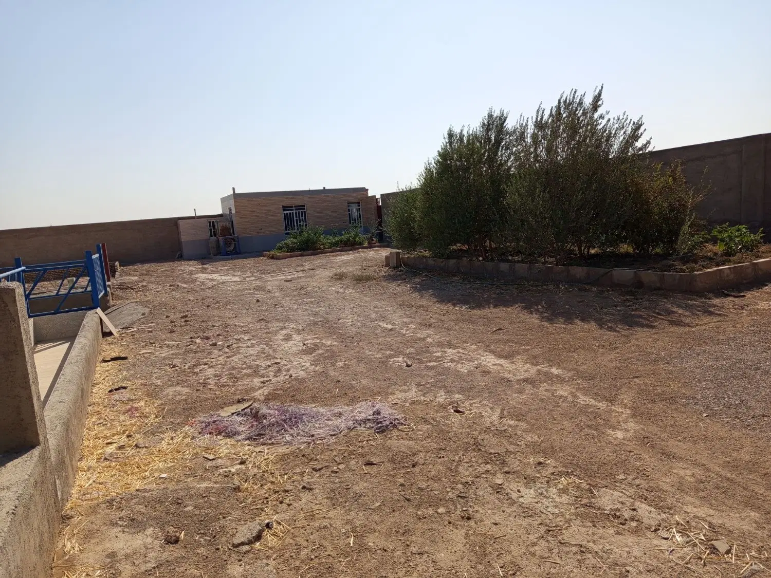 فروش گاوداری
