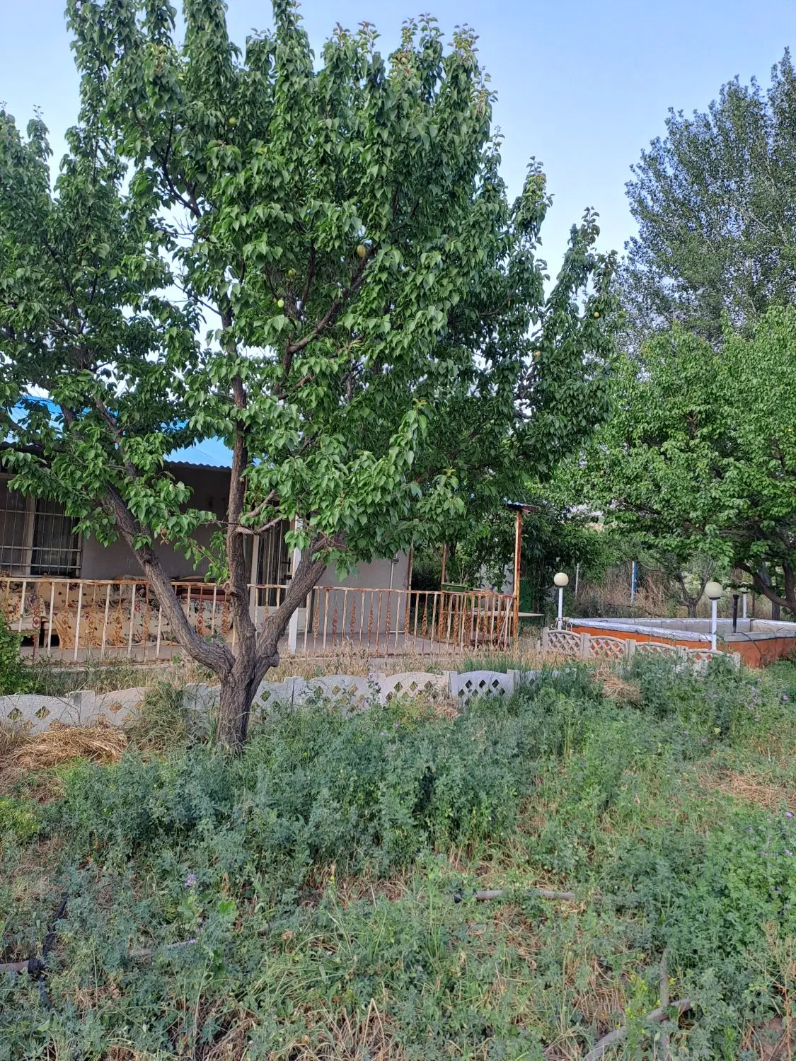 باغ ویلا