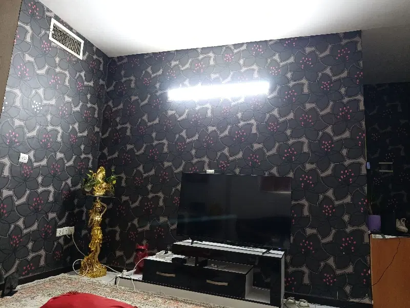 هم خانه مشترکی