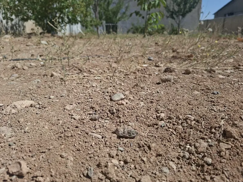 زمین کشاورزی روستای فیروزآباد