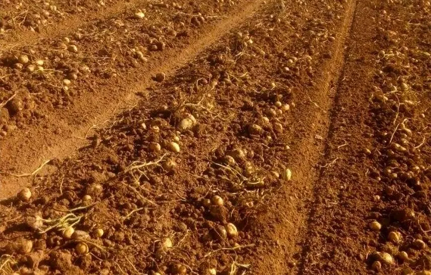 زمین مسکونی