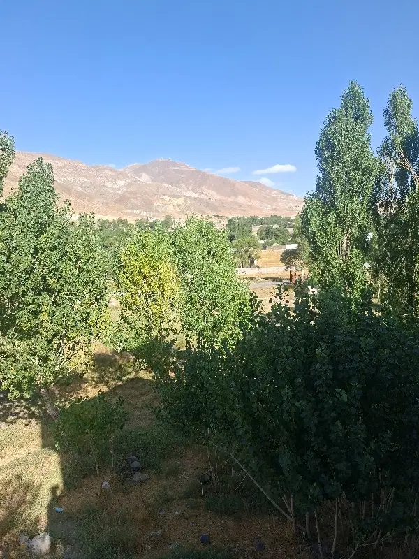 قطعه. ویلایی. خاص برند ترین کوی سعید اباد
