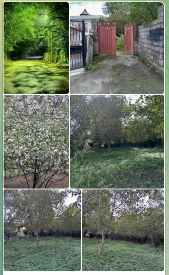 فروش زمین