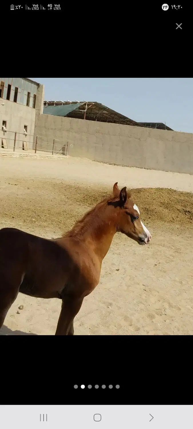 یک چهار دیواری