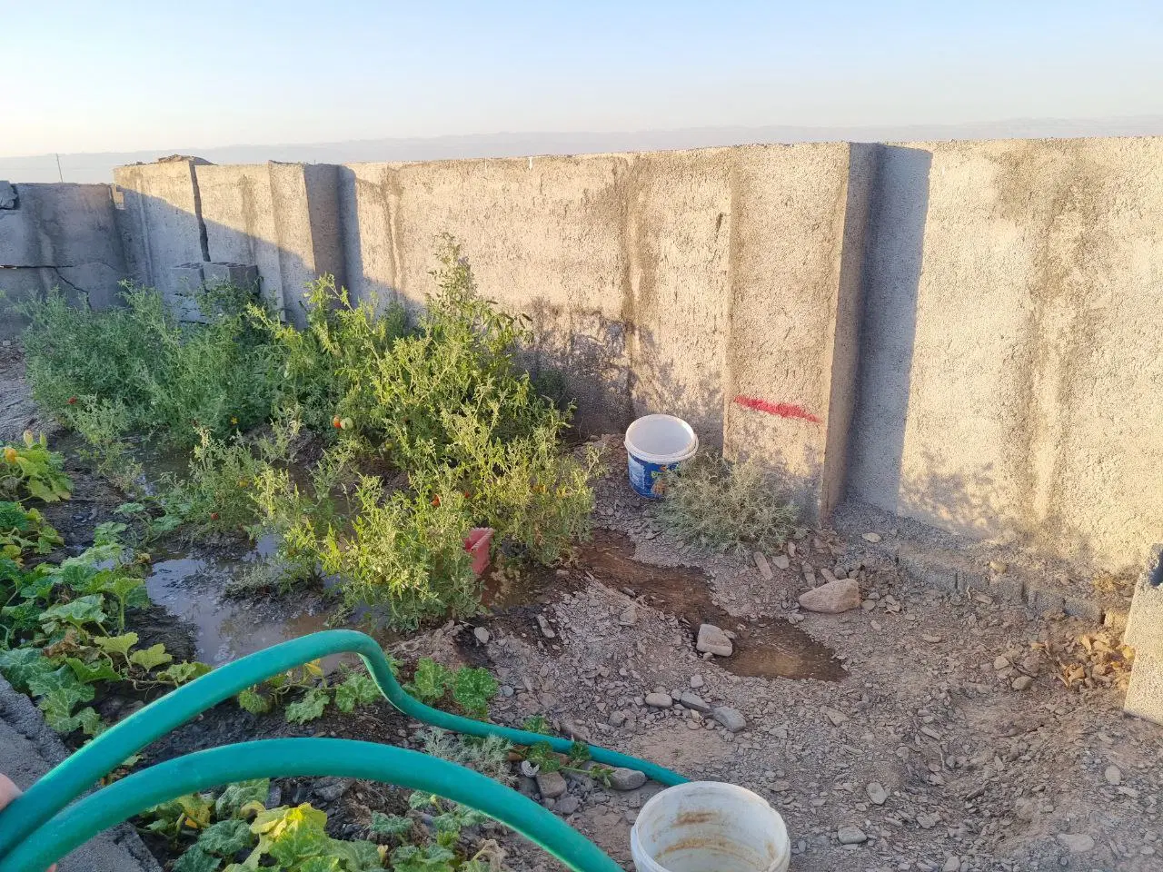 زمین باغی ،باغچه ۵۰۰ متری دور دیوار