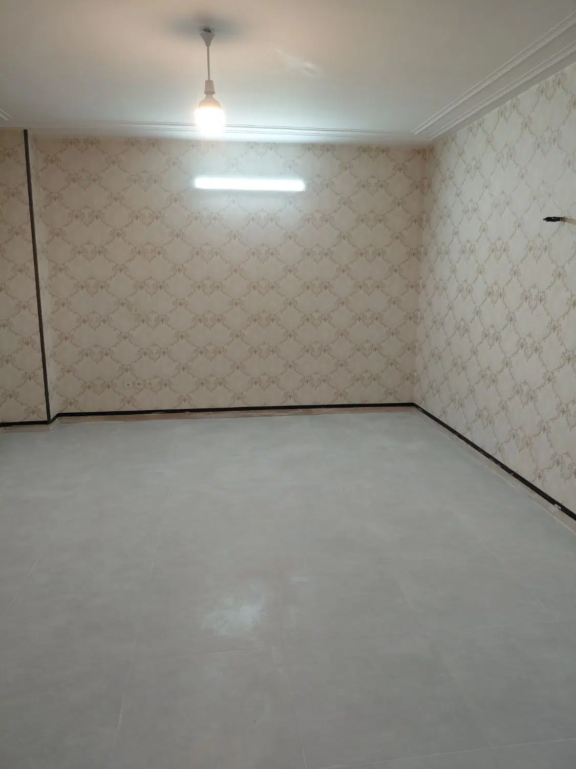نیاز به همخونه