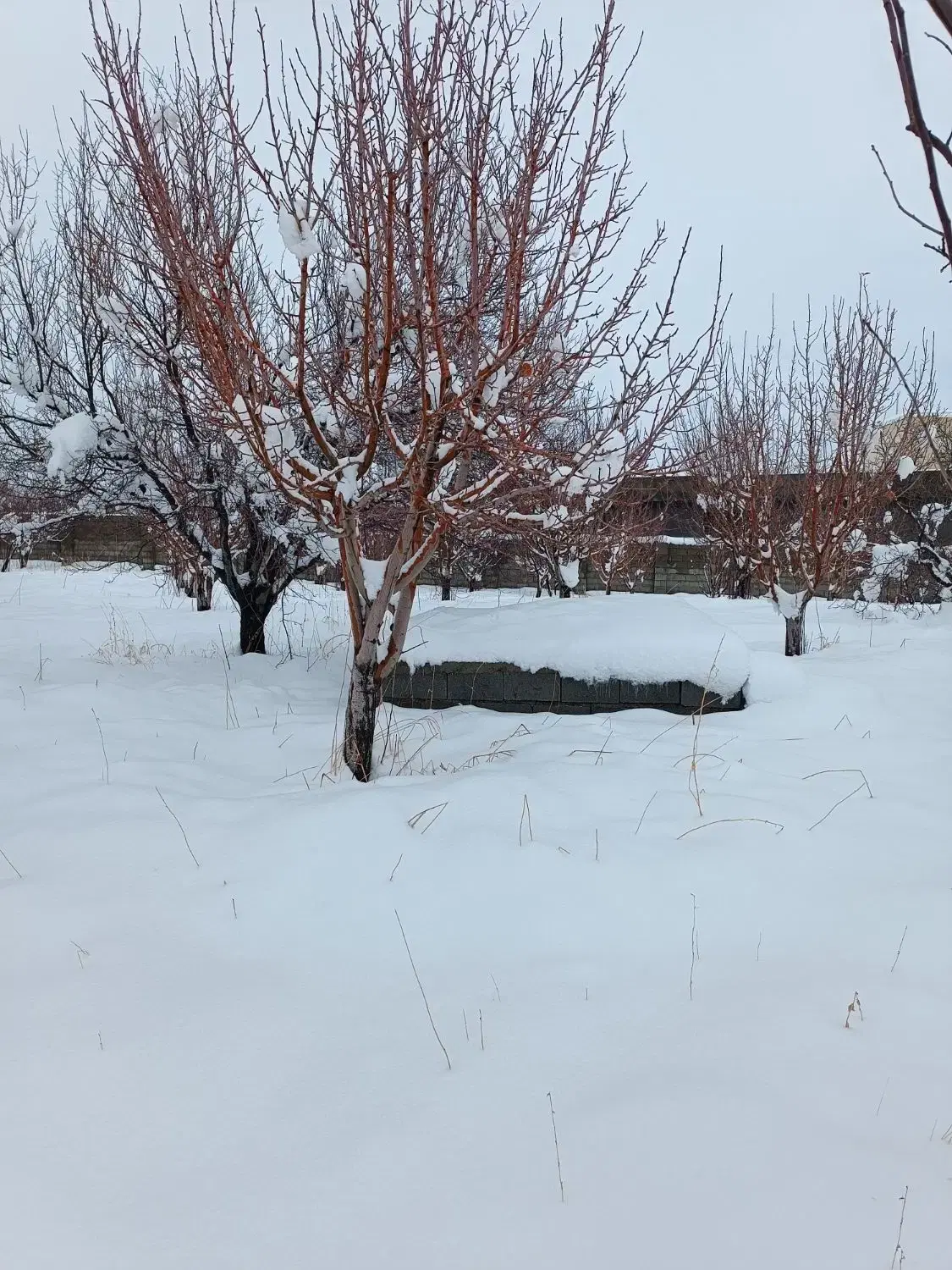 فروش باغشهری در بخش ارژن روستای زنگنه بن رود