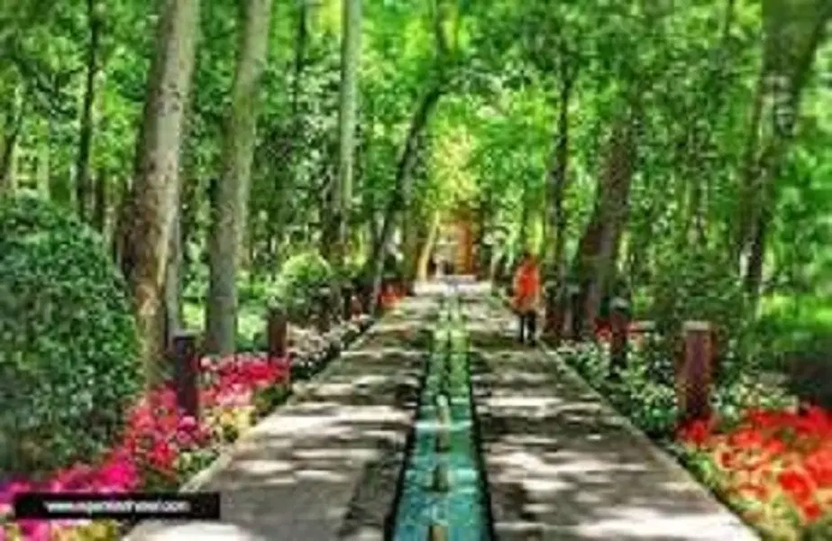 زمین کران قلعه پایین
