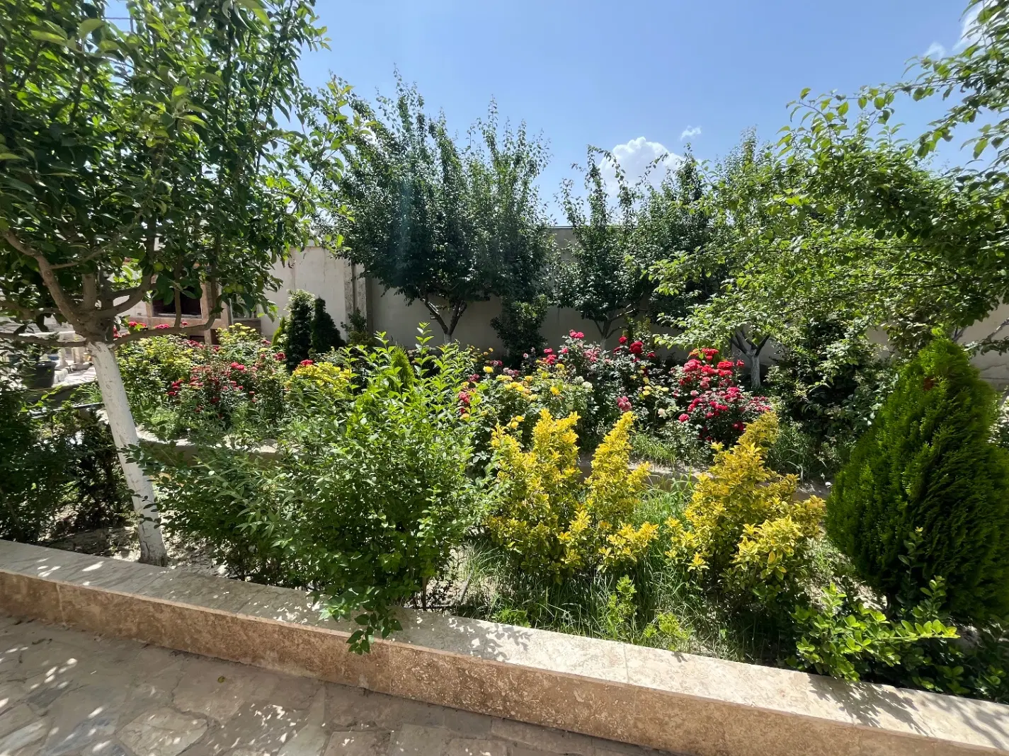 باغ ویلا