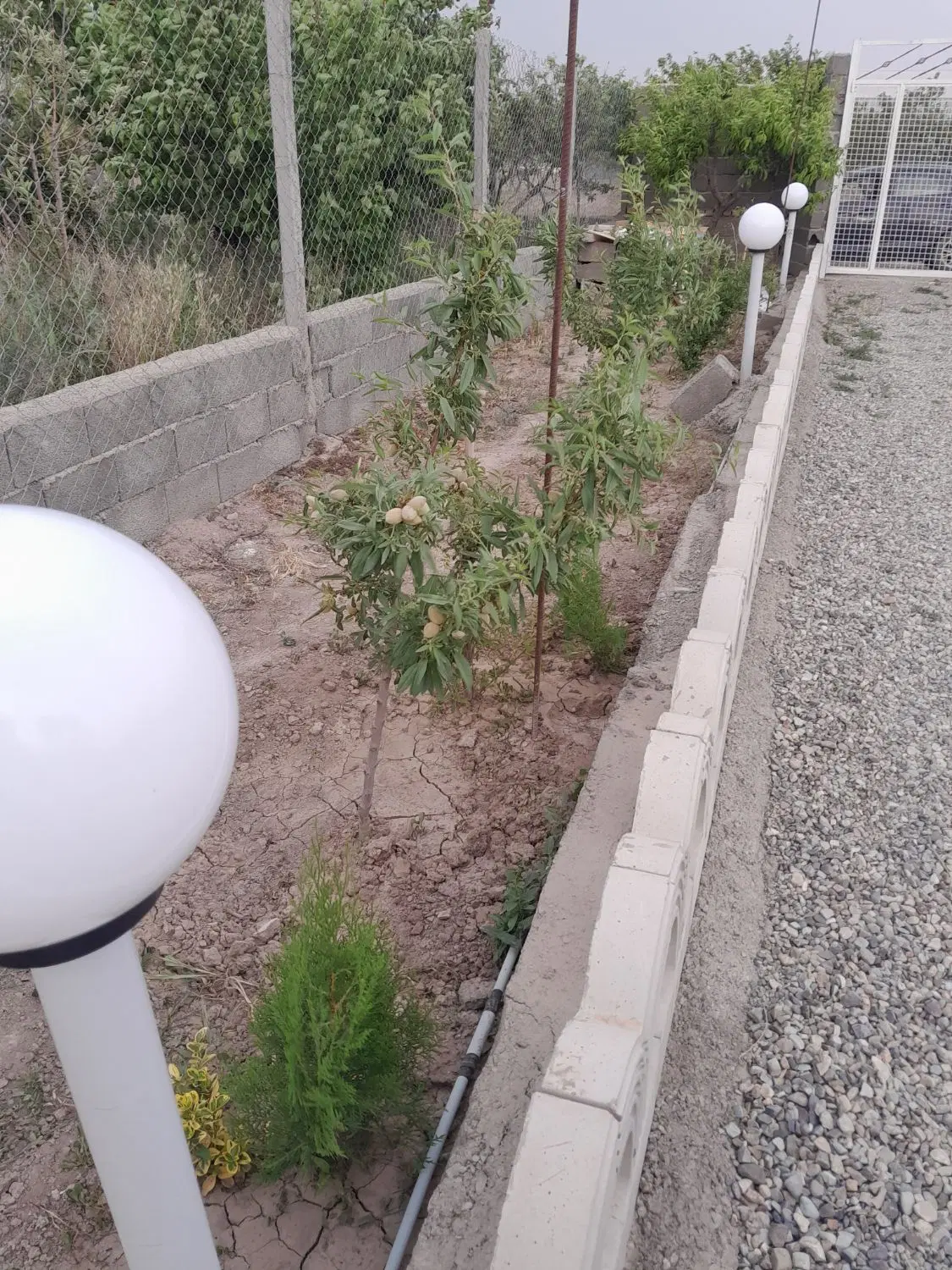 باغچه در بختیار