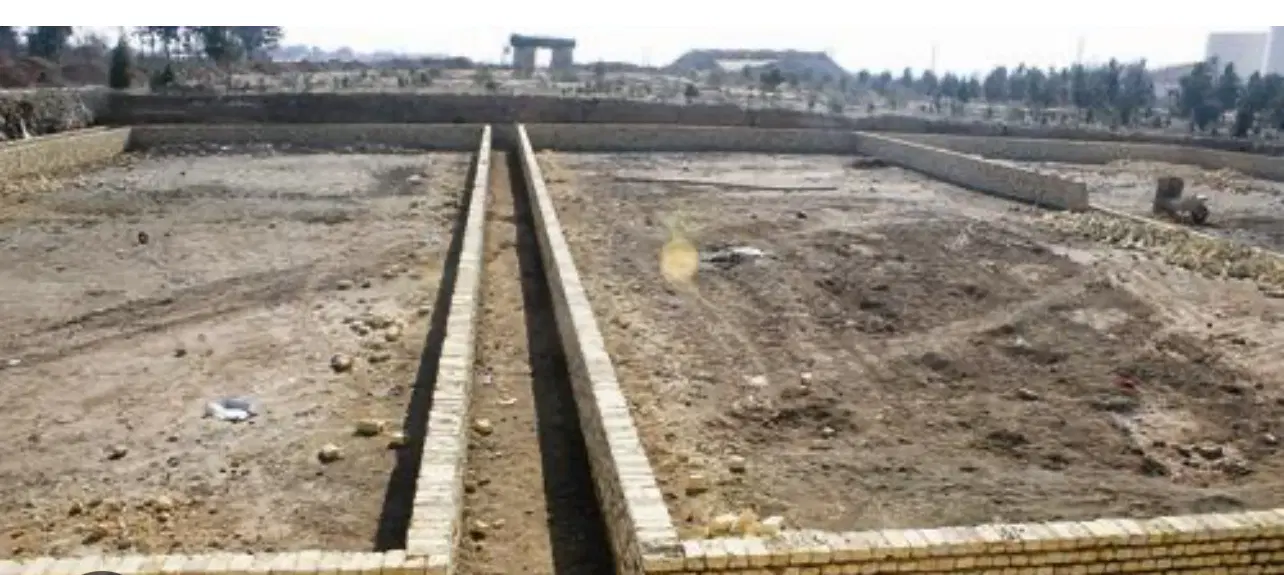 زمین سلطان آباد _ ساحلی