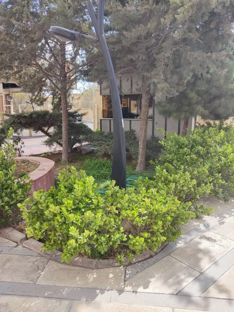 حیاط دربستی ولیعصر