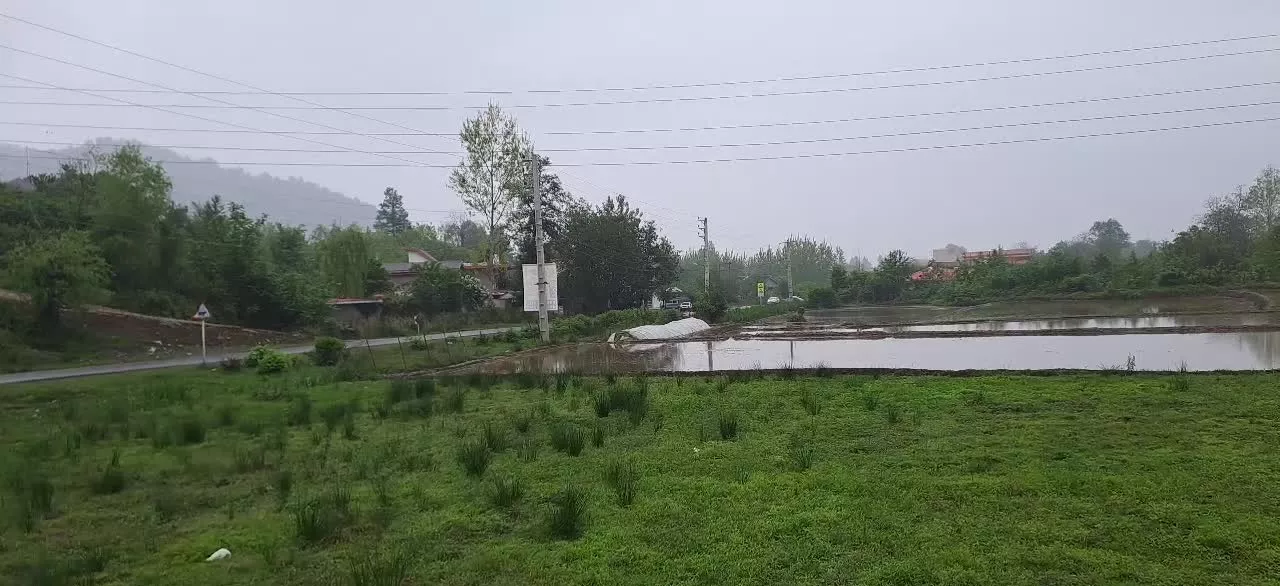 بر اصلی قلعه رودخان ۲ هزار متر  ۵۰ متر بر