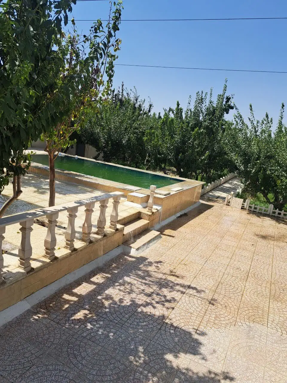 باغ ۴۰۰متری با درختهای ۸ساله