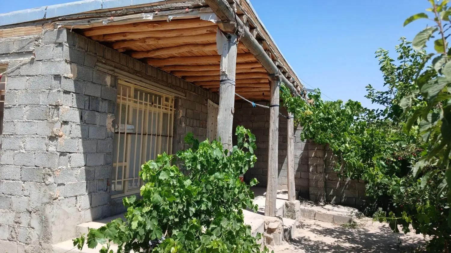 باغ ۲۰ من خانقاه