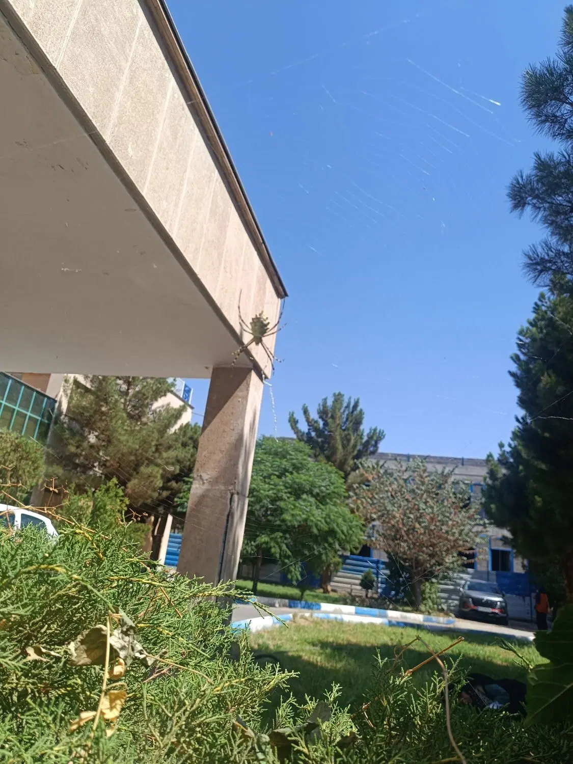 خانه ویلایی فردوسی ۴۴