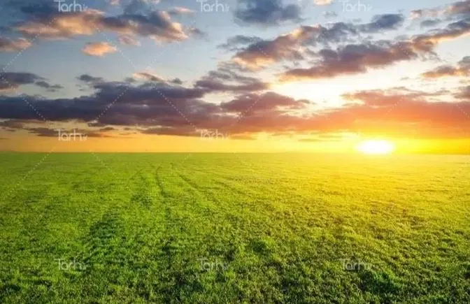 فروش زمین کشاورزی