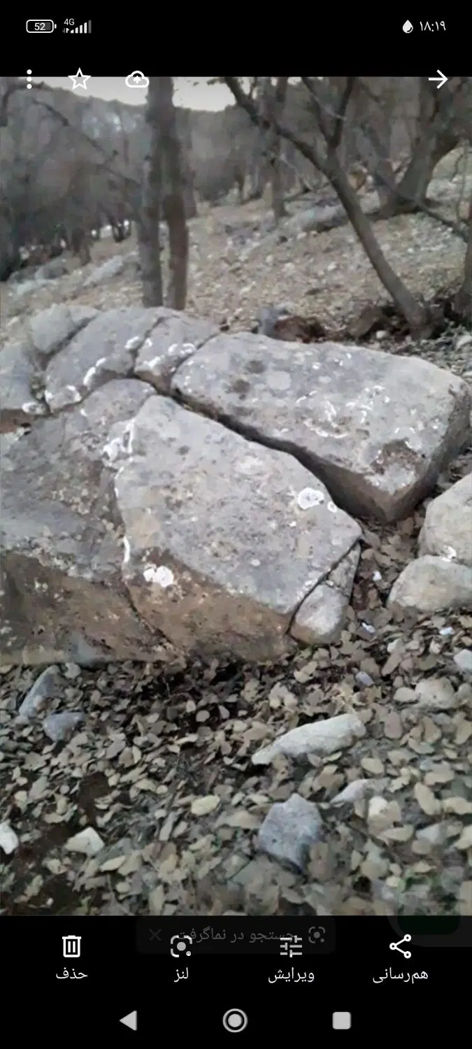 زمین