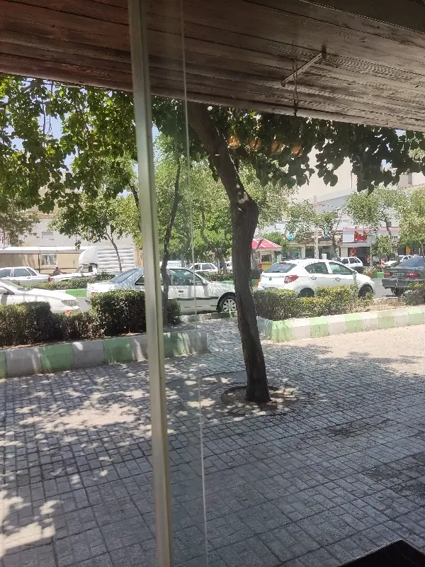 مغازه در منطقه از 20مترتا 200 وکیل اباد معلم و...
