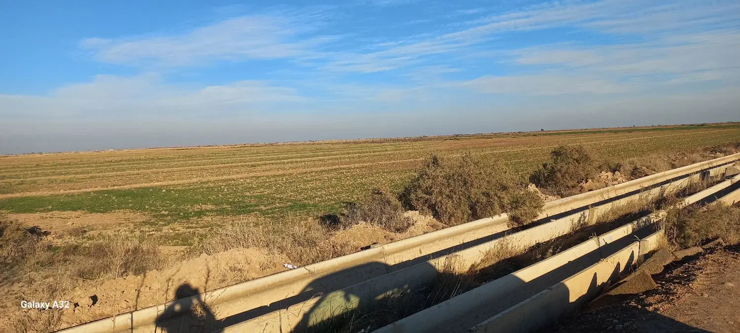 زمین کشاورزی
