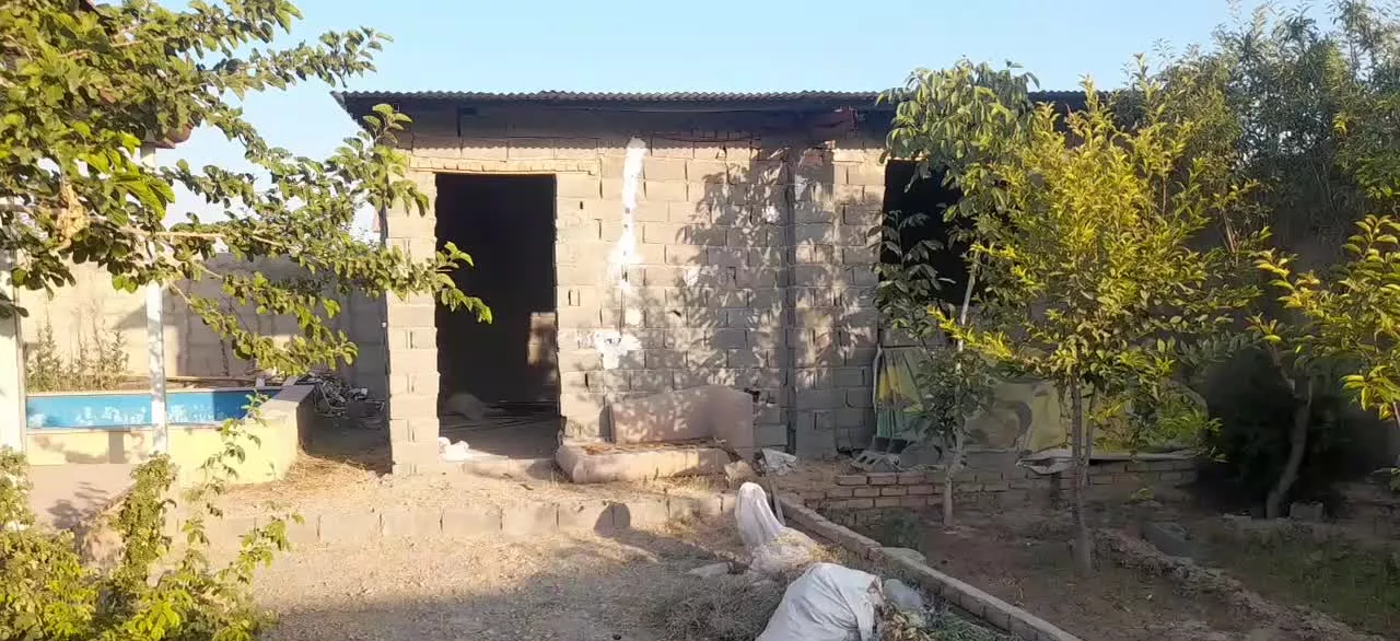 باغچه