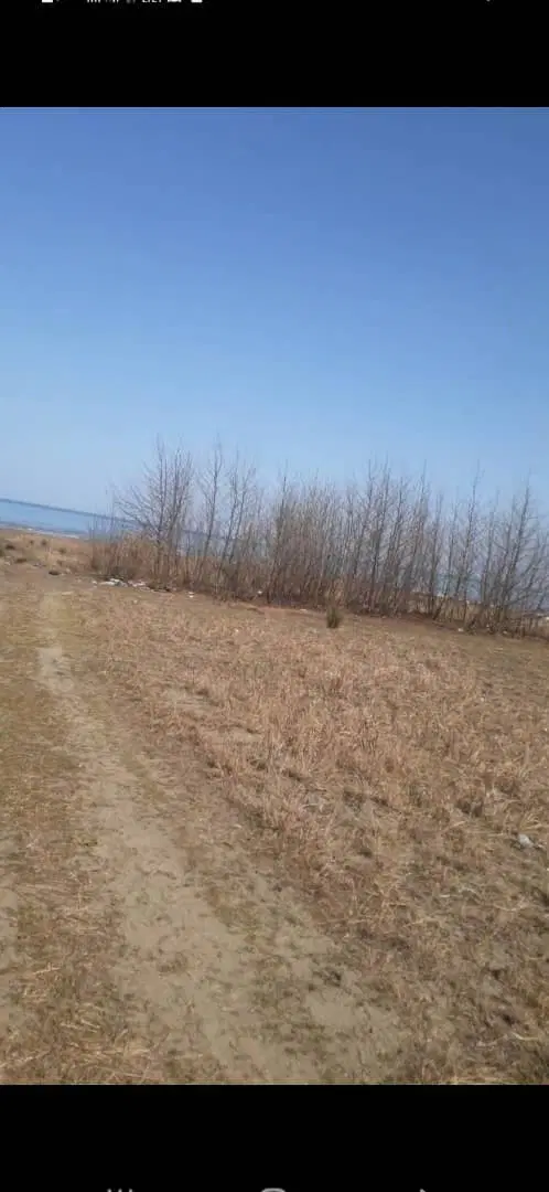 زمین گلها