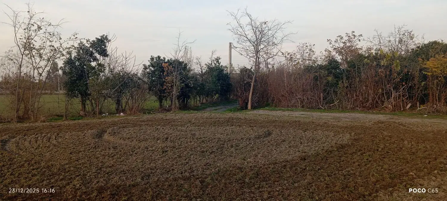 زمین کشاورزی