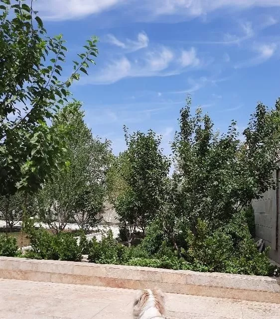 باغ ویلا تهاتر با آپارتمان یا نقد