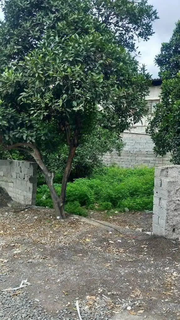 280مترزمین الحاق بافت150م بافت سندتکبرگ شهرک جنگلی