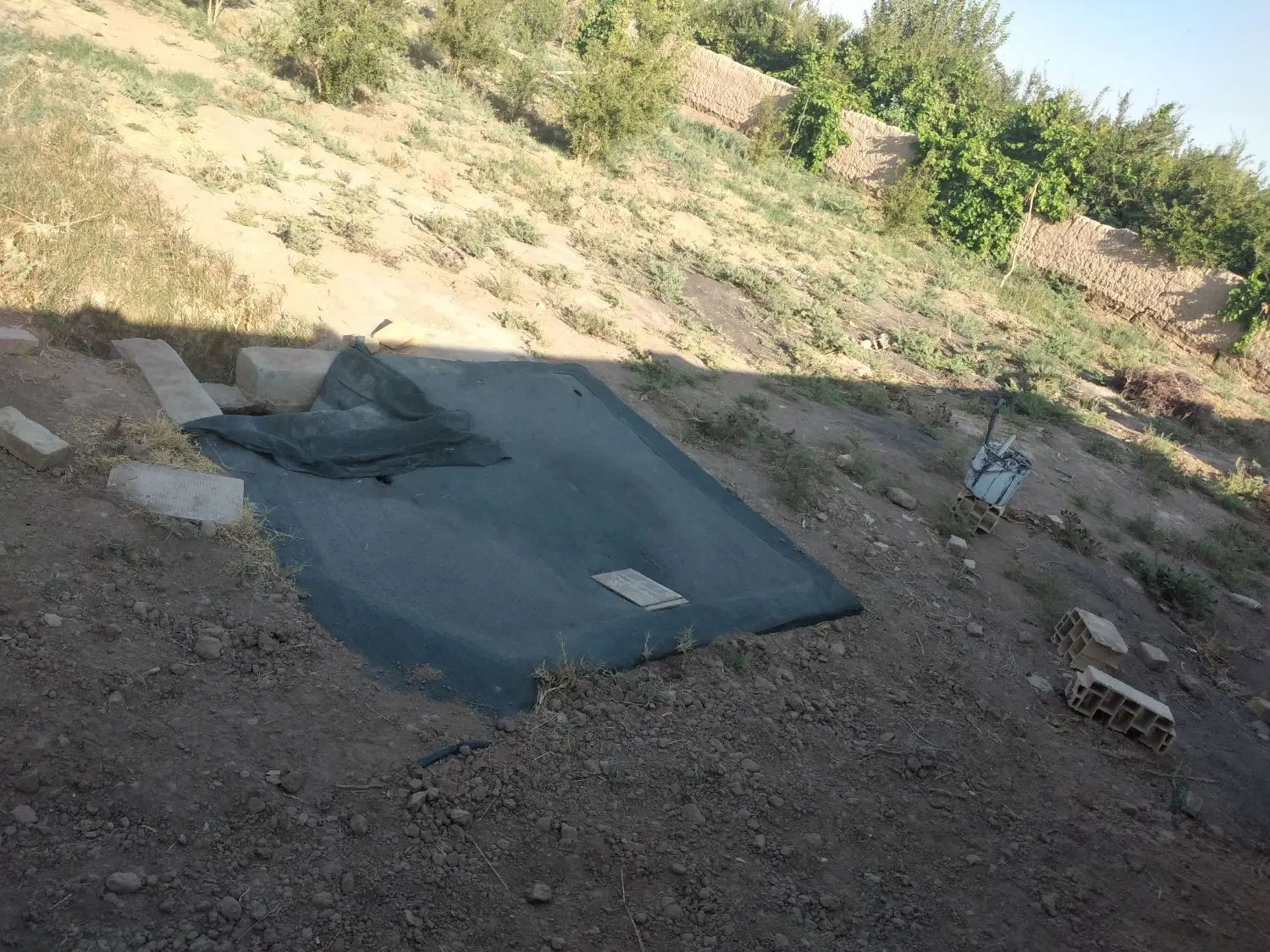 فروش یه قطعه باغ در روستای حاجی آباد یزد