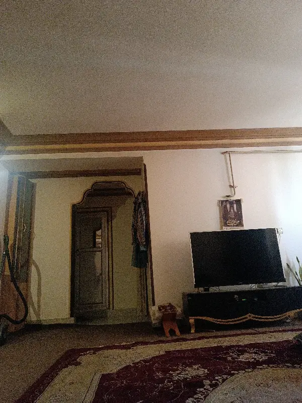 هم خون نیاز دارم