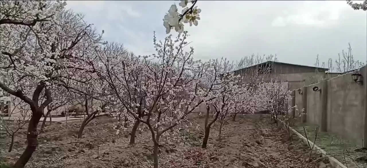 باغ بی نظیر با کلیه امکانات در لوکیشن عالی