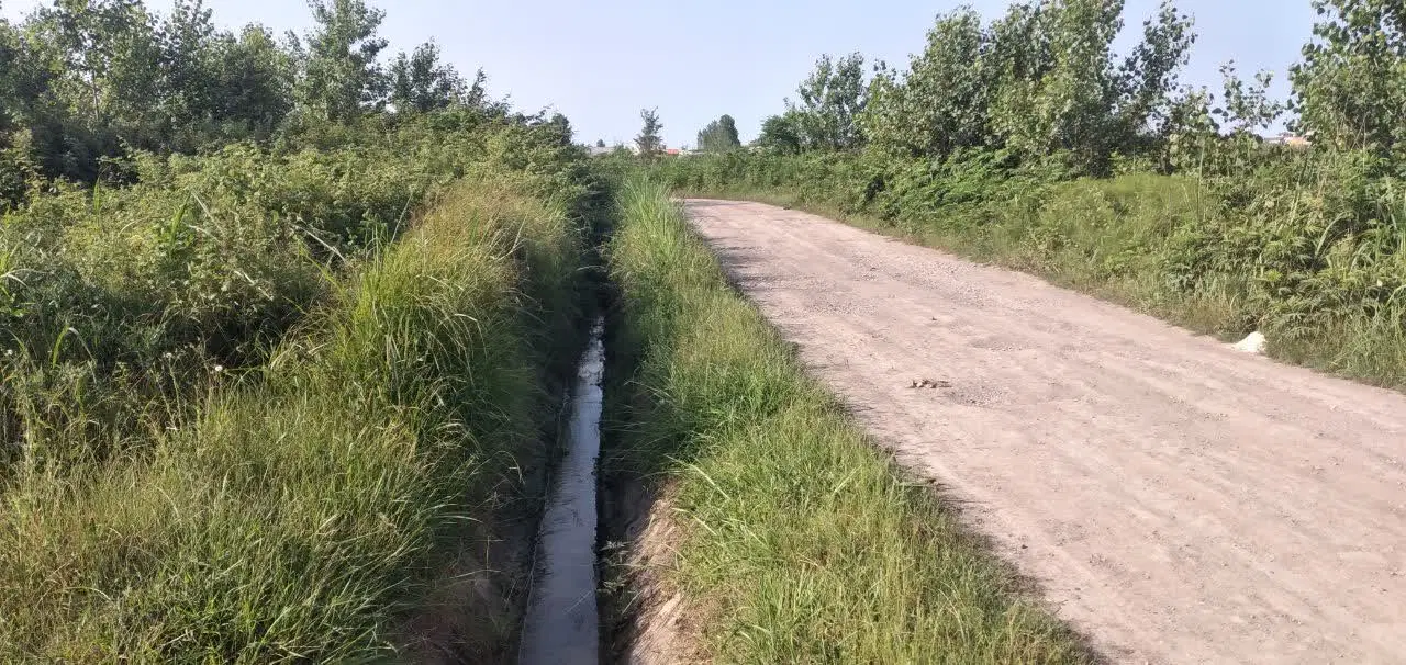 زمین مناسب برای باغ ۲۰۰متر نزدیک جاده آسفالت