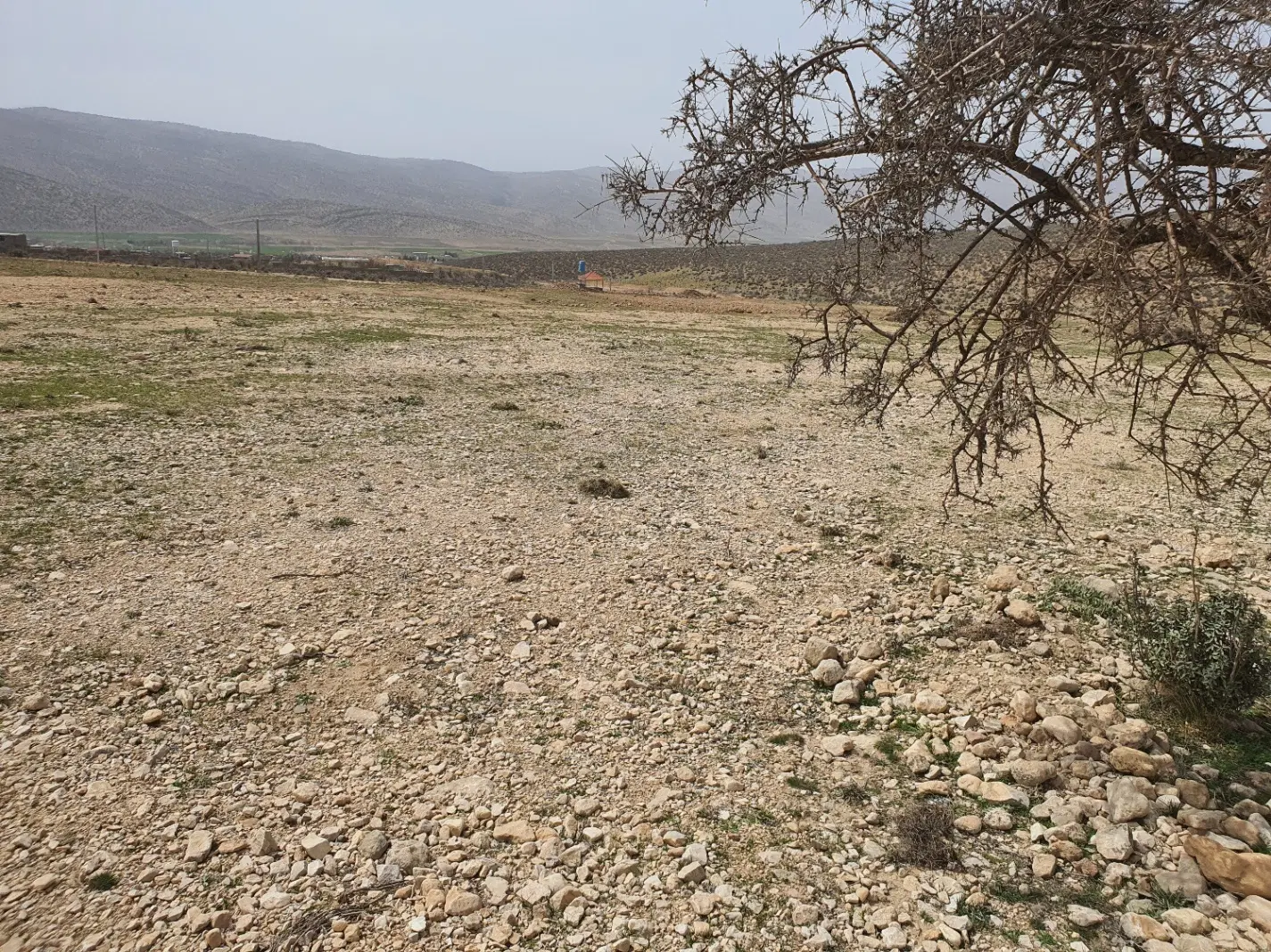 فروش زمین