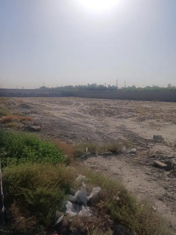 زمین بایر