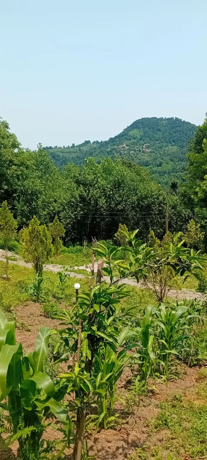 ۳۰۰ متر زمین مستثنیات