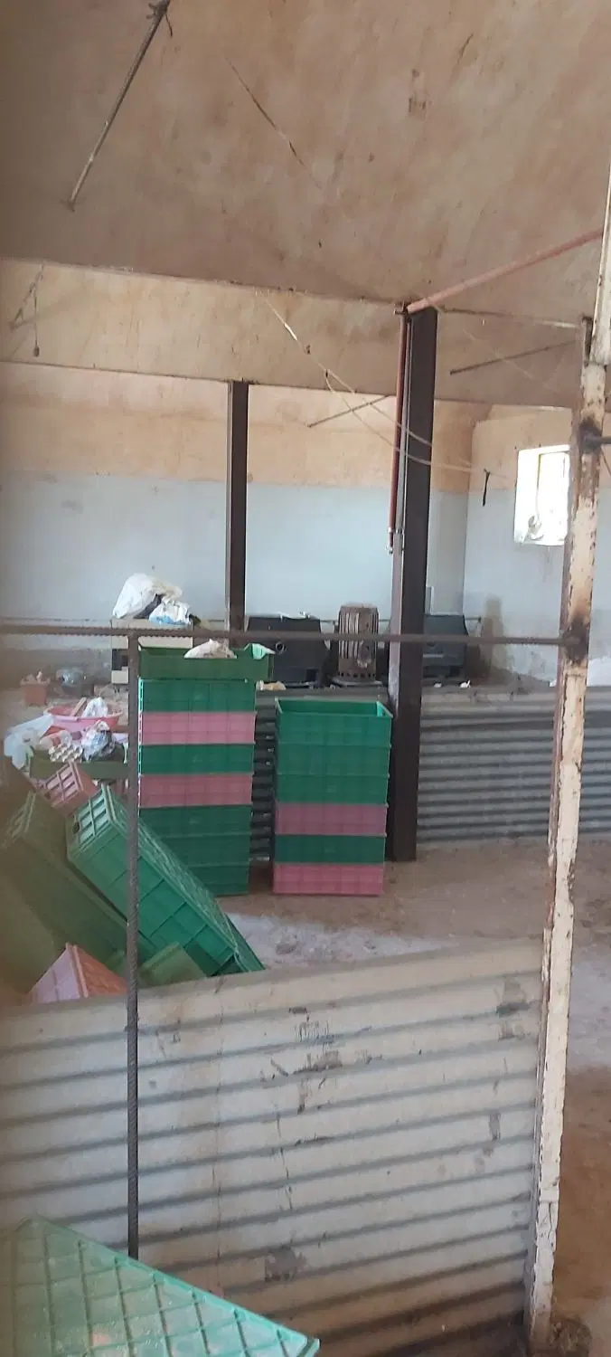 دامداری صنعتی