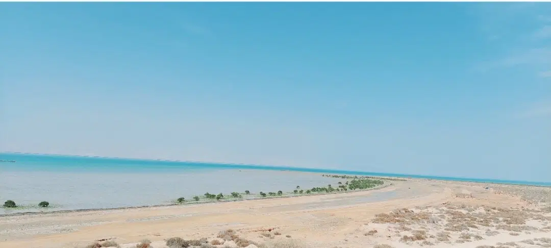 موقعیتی مناسب برای سرمایه گذاری  خرید زمین ساحلی