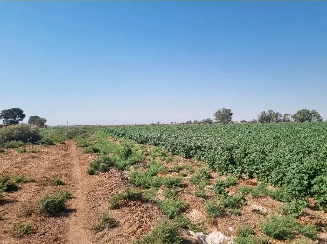 خانه مسکونی بهمراه زمین عالی