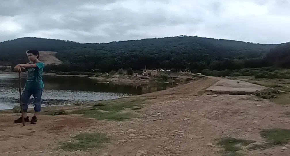 زمین در روستای شموشک پایین در خیابان حافظ ۲۵۰ متر