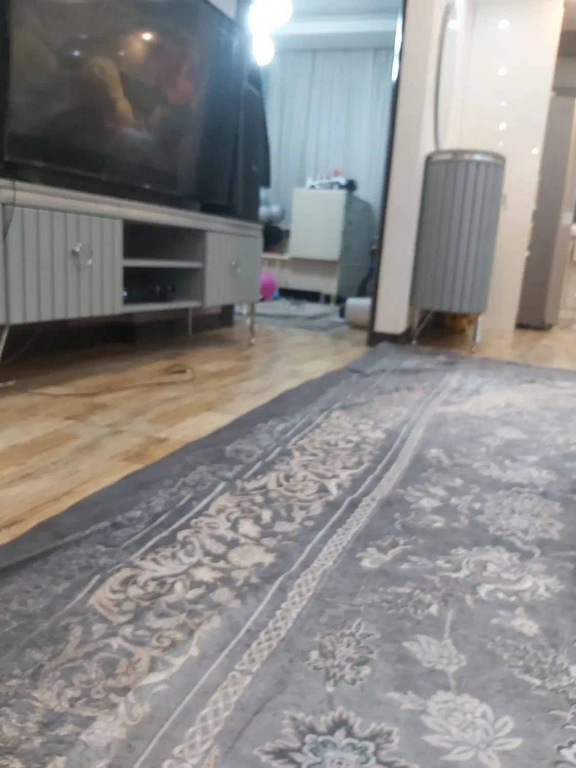 هم خونه همخانه