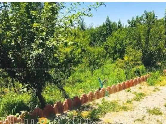 باغ چهار دیواری