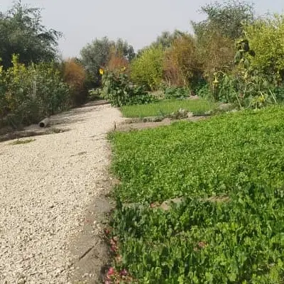 زمین مسکونی