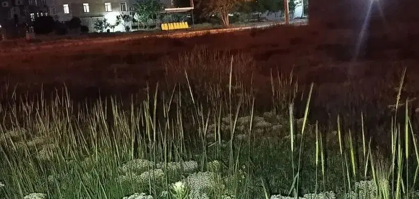 زمین مسکونی داخل بافت حسن آباد