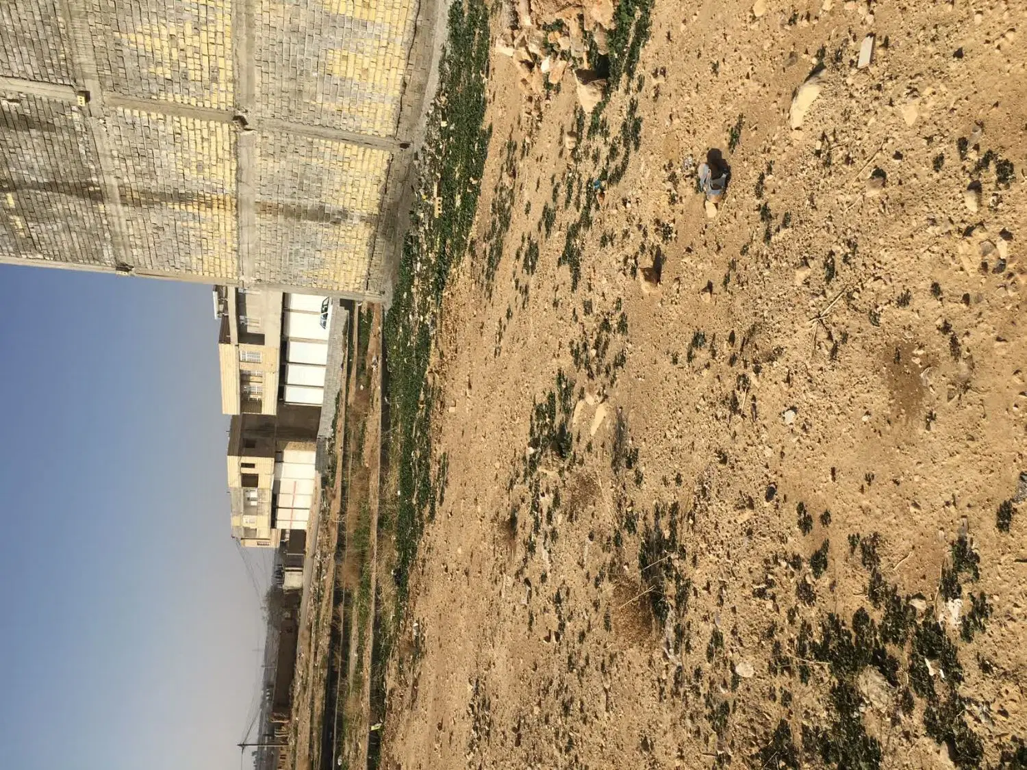 فروش زمین کفترک