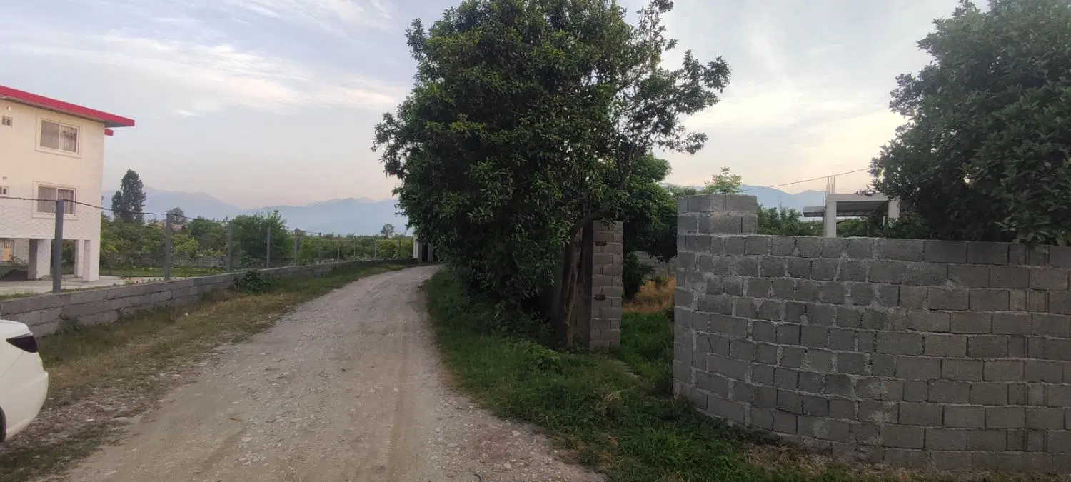 زمین ۳۷۴ متری مسکونی دالخانی رامسر