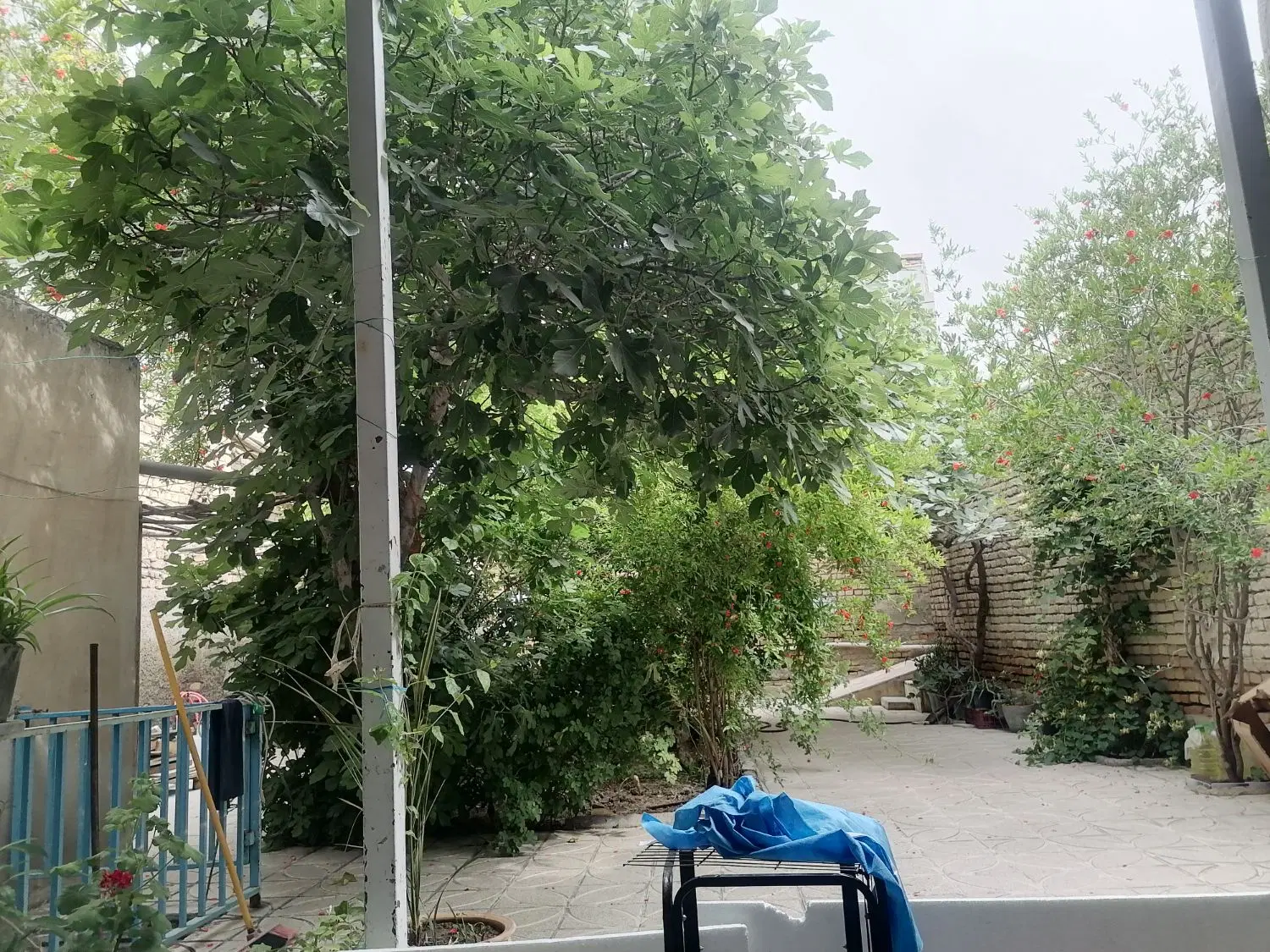 اجاره ملک ویلایی قدیمی
