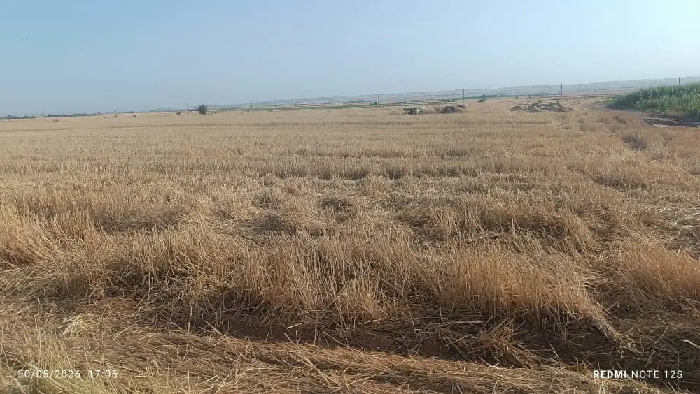 اجاره زمین کشاورزی