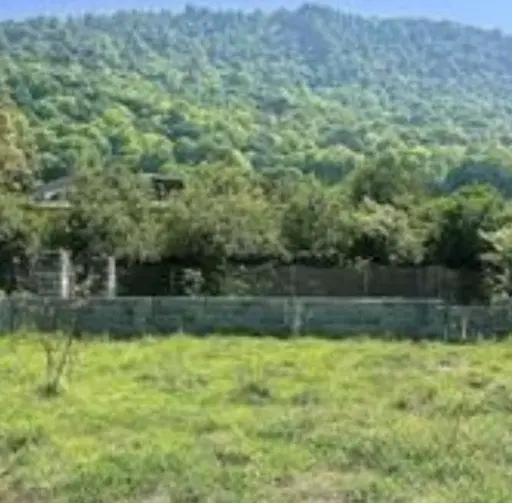 فروش زمین